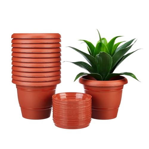 Amazon Brand - Solimo Round Pots for Plants with Bottom Tray|Lightweight|Indoor and Outdoor Flower Pot for Home/Office/Table/Garden/Balcony Decoration|8 inch (Set of 12), Brown