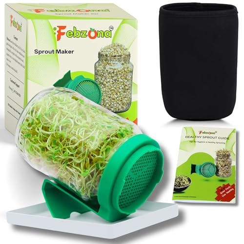 FEBZONA Sprout Maker Jars, Sprouting Glass Jar, salad box Durable & Reusable Sprouter for All Seeds and Beans (GREEN, PACK OF ONE)
